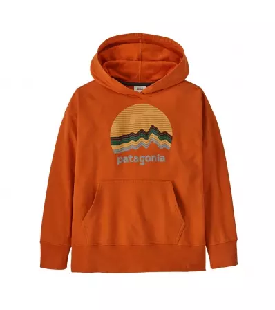 Детски Суитчър Patagonia Kids' Hoody Sweatshirt