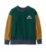 Детска блуза Patagonia Kid's Crew Sweatshirt